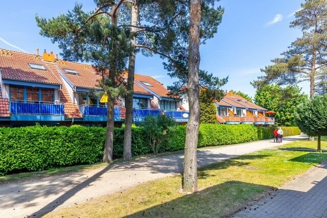 Ferienwohnung in Boltenhagen - Papillon 16-8 - Bild 19