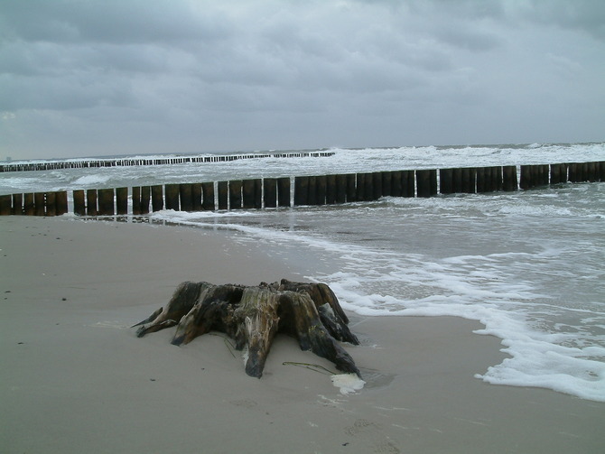 Ferienwohnung in Rostock - Ferienwohung Ostseewald - Bild 17