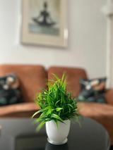 Ferienwohnung in Gr&ouml;mitz - RC K&uuml;stenquartier Bettina - Bild 10