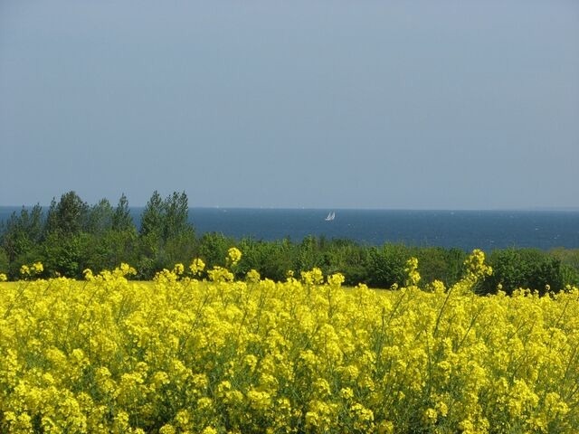 Ferienwohnung in Insel Poel - FeWo Thule Poel an der Ostsee - ABC368 - nur Ferieng&auml;ste! - Bild 19